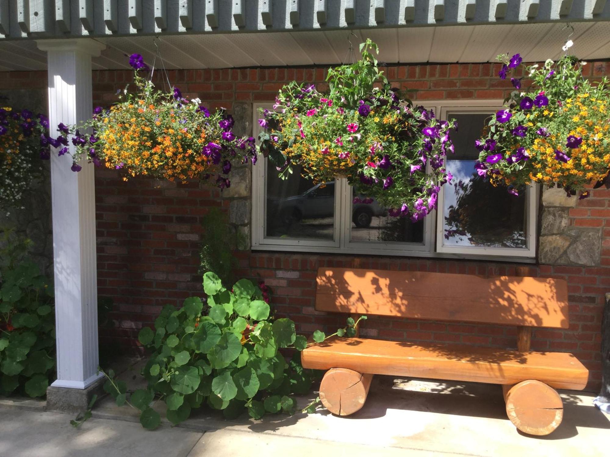 Dream Catcher Inn Valemount Exterior photo